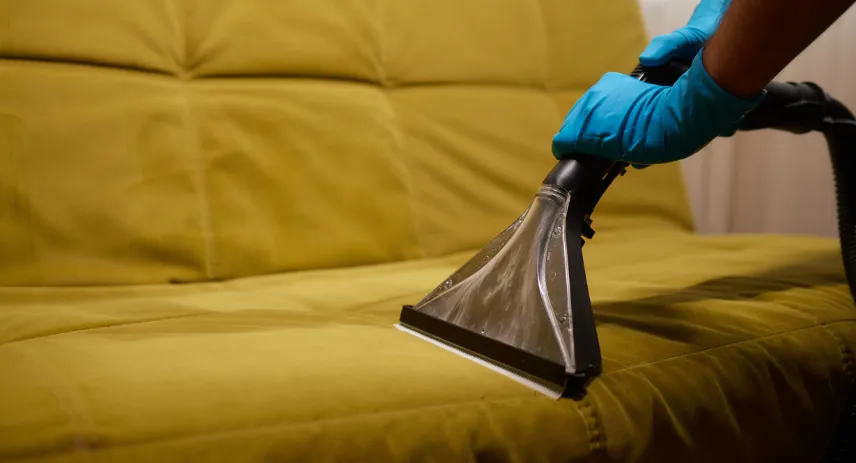 How to Find the Best Upholstery Cleaner Near Me
